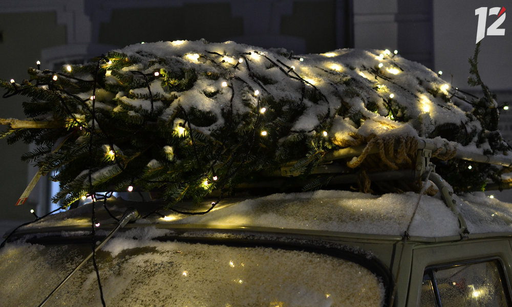 Предприимчивому омичу новогодняя ёлка обойдётся в 7,5 тысяч рублей