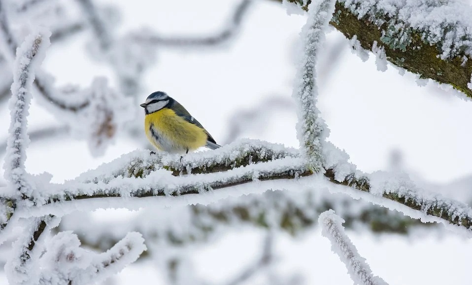 В Омск возвращается весна 