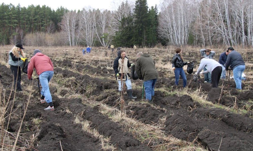В Омской области дали старт акции «Сад памяти – 2026»
