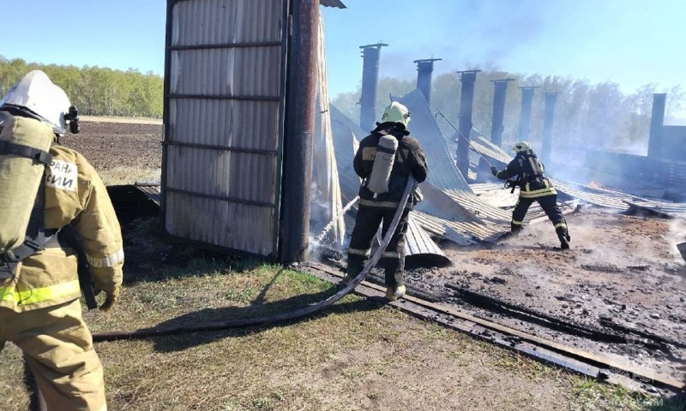 В Омской области загорелся автомобиль