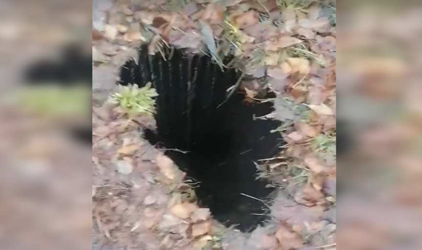 В центре Омска у тротуара образовалась глубокая яма 