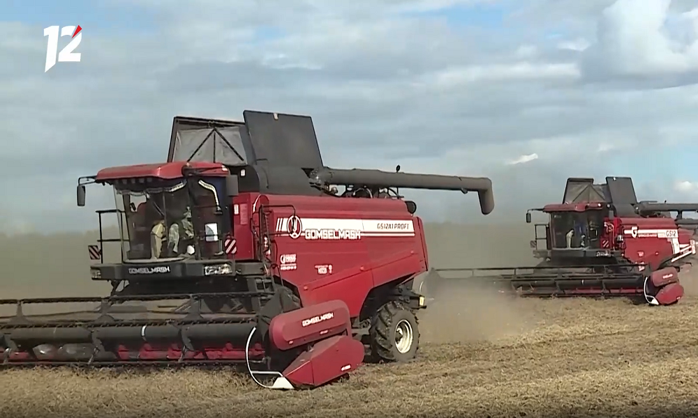 Омские аграрии собрали рекордный урожай зерновых за всю историю региона