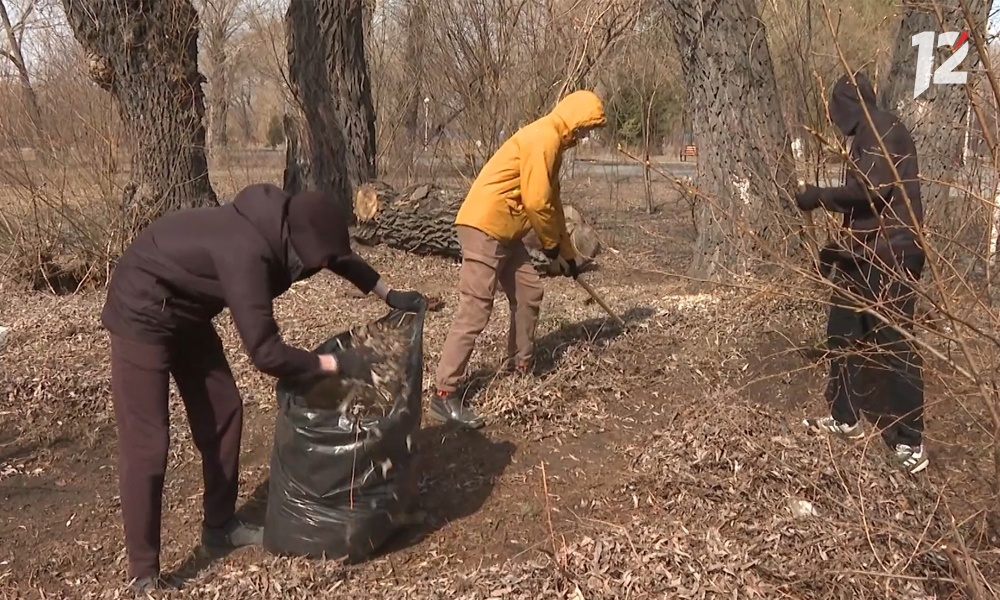 В рамках месячника чистоты в Омске пройдёт больше десятка экологических акций