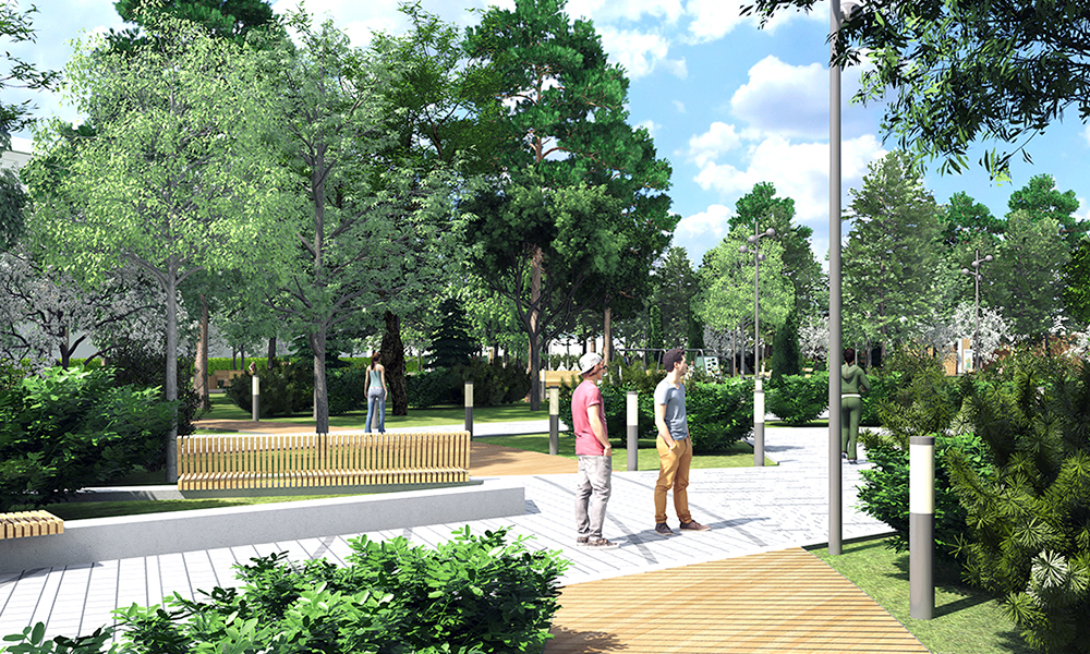 В Омске не одобрили снос здоровых деревьев в сквере имени Панфилова 