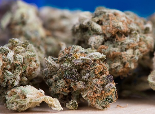 Омича отправили в колонию за покушение на сбыт наркотиков