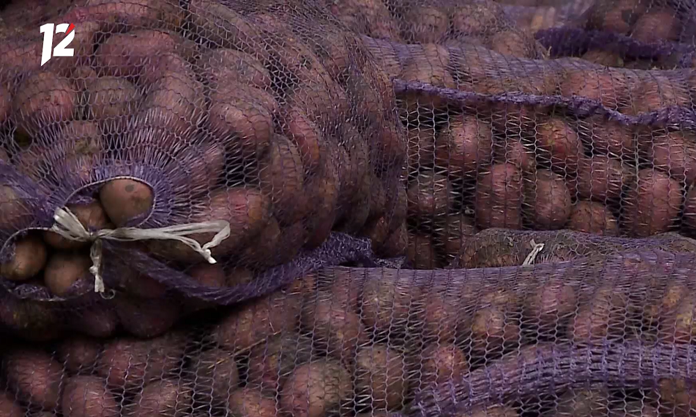 В Омской области подешевели овощи «борщевого набора»