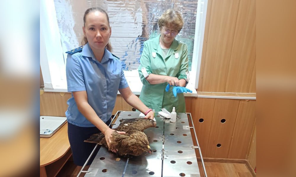 В Крутинском районе сотрудники прокуратуры спасли птицу 