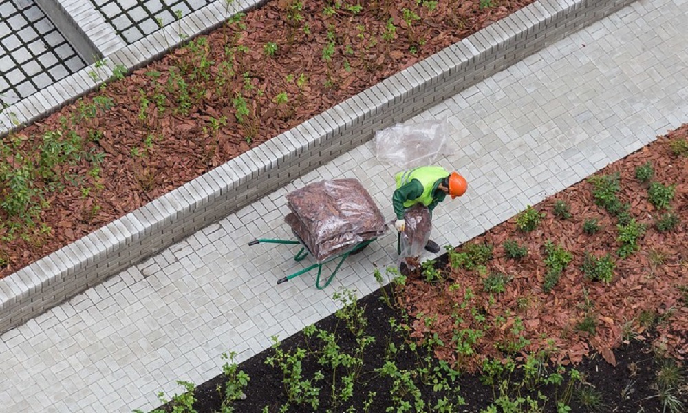 В Омске на территории строящихся «Кварталов Драверта» к лету высадят деревья и кустарники