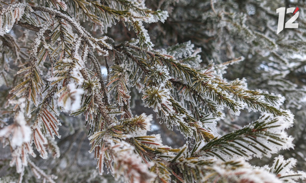 На термометре -73 градуса: в российском регионе ударил сильный мороз