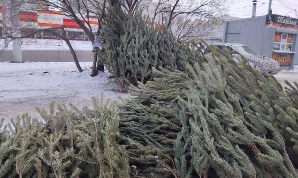 В Омске определили места ёлочных базаров в Ленинском округе