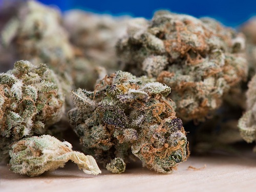 Житель Омской области попался с гашишом