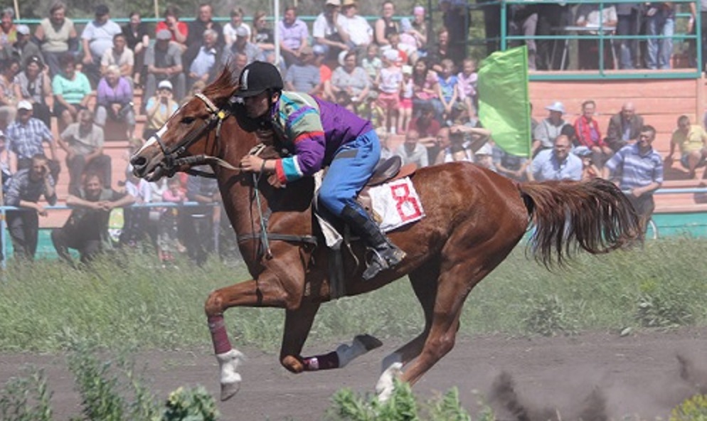 В Любинском районе состоится турнир по конному спорту