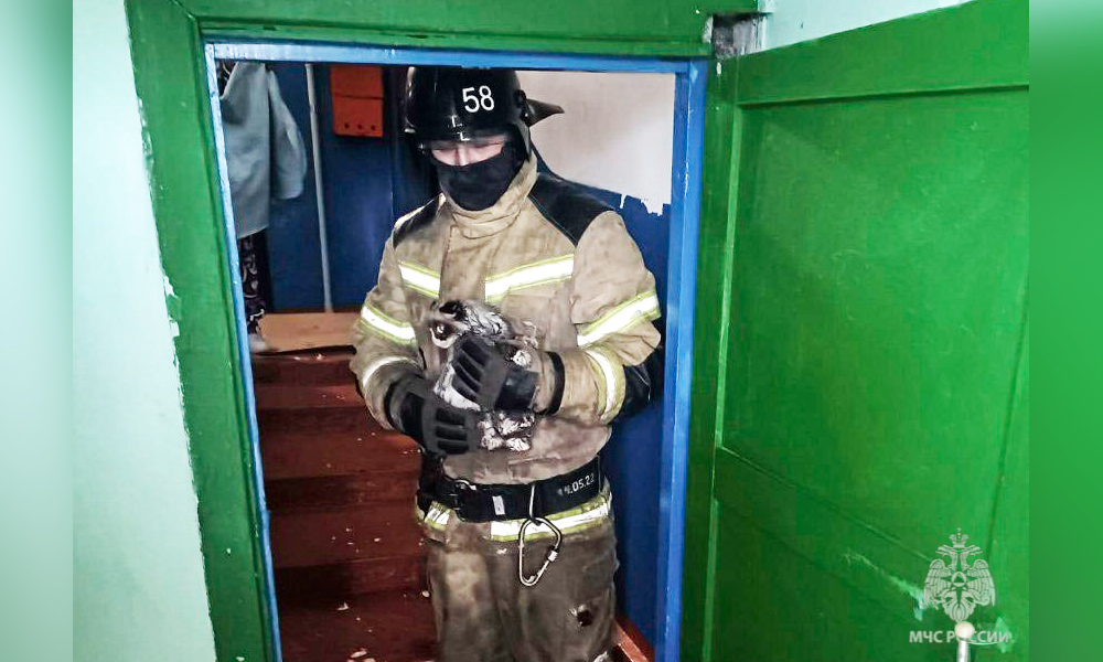 В Омской области пожарные вытащили котёнка из горящего дома