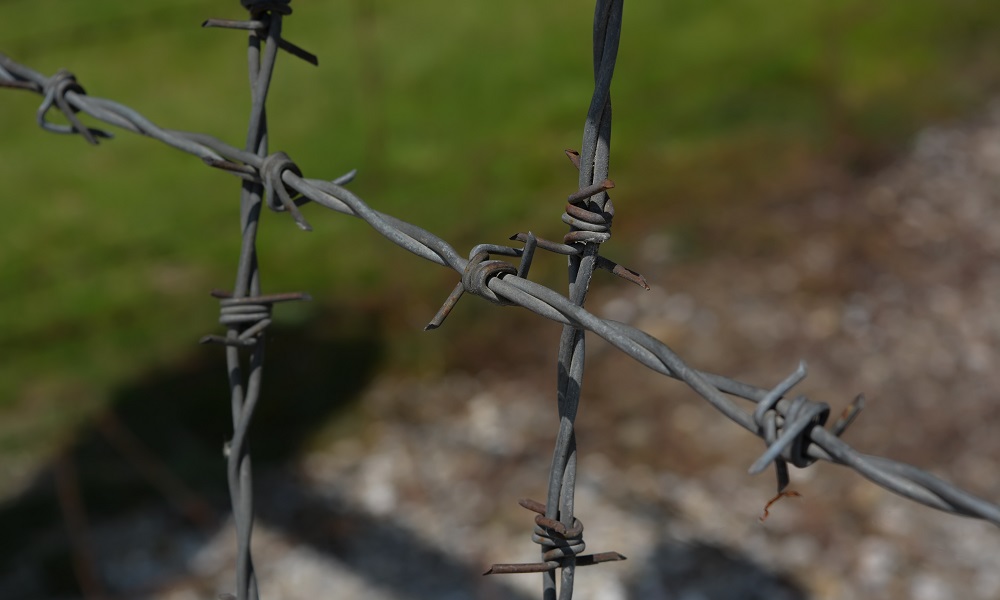 В Омской области живут 135 бывших узников фашистских концлагерей