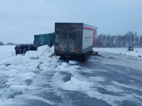 В Омской области на трассе столкнулись два большегруза