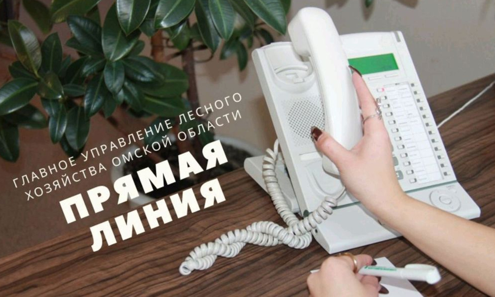 ГУЛХ проведёт «горячую» телефонную линию по заготовке древесины для отопления 