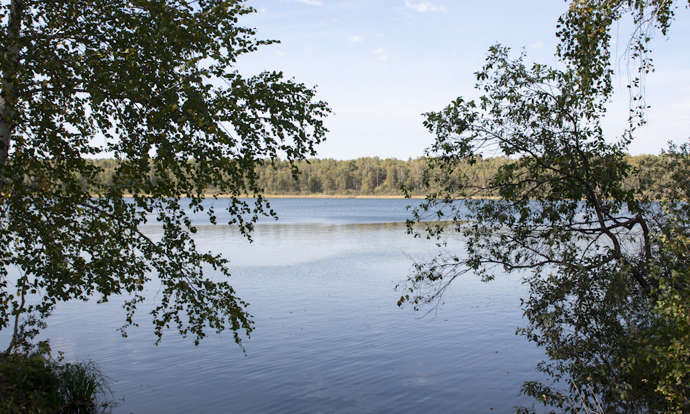 Открытие пятого сезона «Экошколы» состоялось в краю пяти озёр