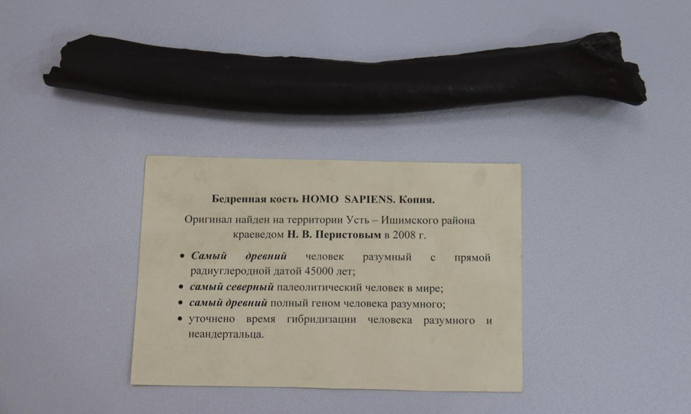 В Омске отметят юбилей уникальной археологической находки