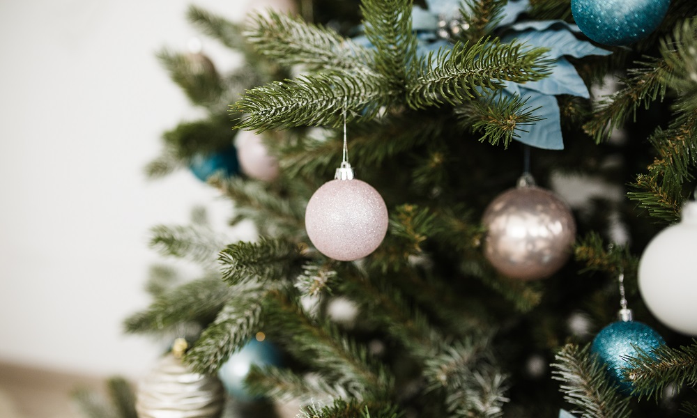 Омский лесхоз рассказал, сколько ёлок заготовили к Новому году