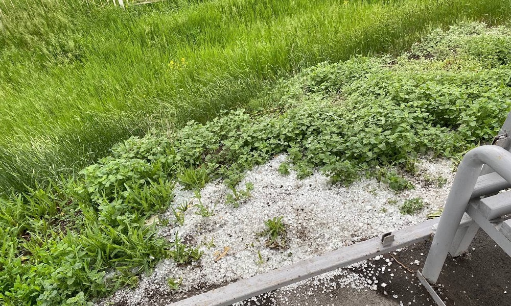 В Омске от рук вандалов пострадала ещё одна остановка — разбили стекло 