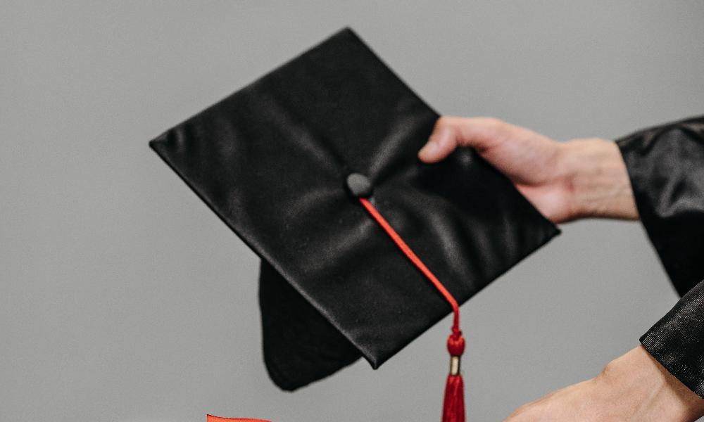 2 из 3 омичей поддержали идею отказа от бакалавриата 