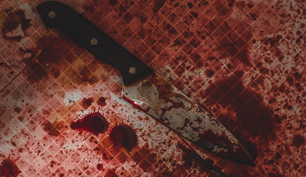 Омич, который зарезал мать двоих детей, сядет на 15 лет 