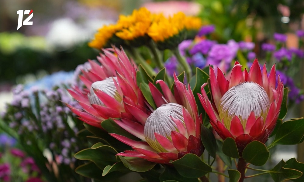 В преддверии Международного женского дня в регионе активизировались мошенники