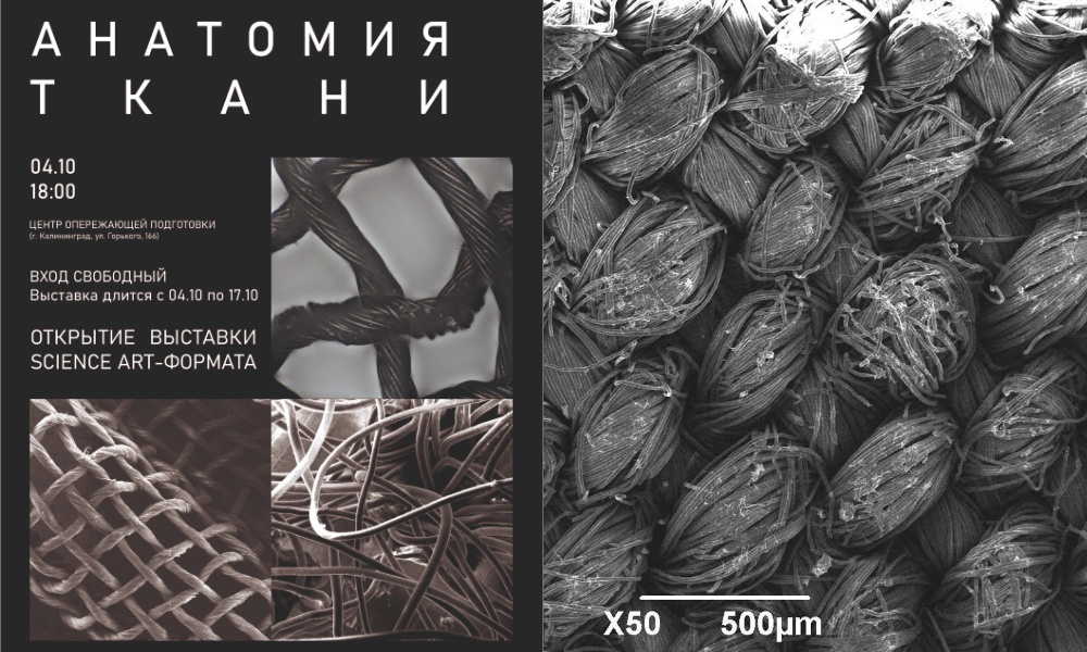 «Анатомия ткани»: science-art проект ОМГТУ увидят жители Калининграда, Санкт-Петербурга и Москвы