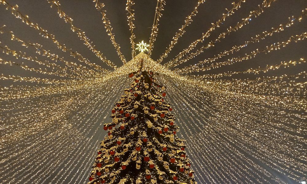 Для детей мобилизованных из Омской области закупят сладкие подарки