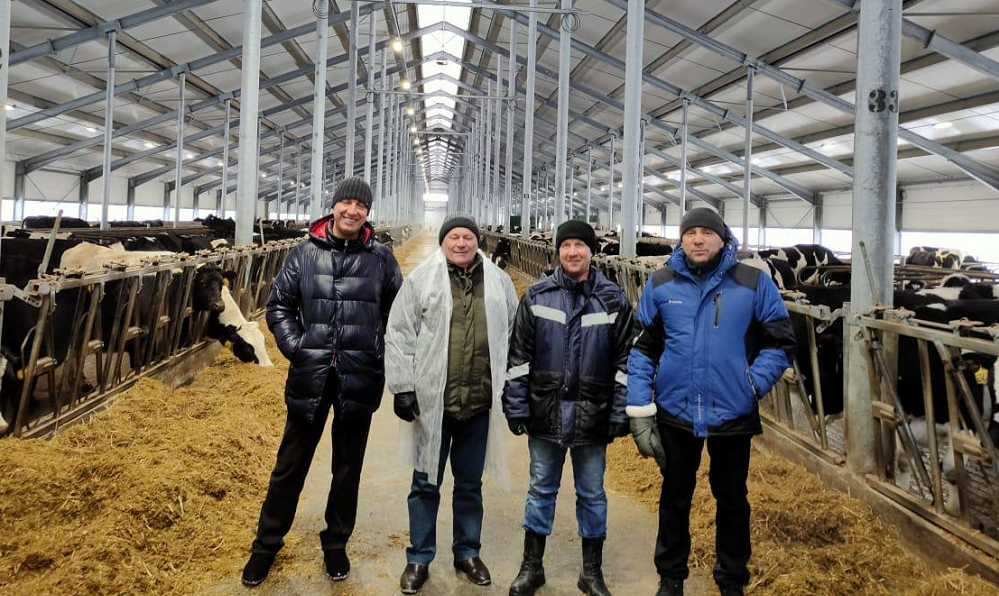 АО «Племенной конный завод «Омский» планирует увеличить поголовье КРС до 5 тысяч