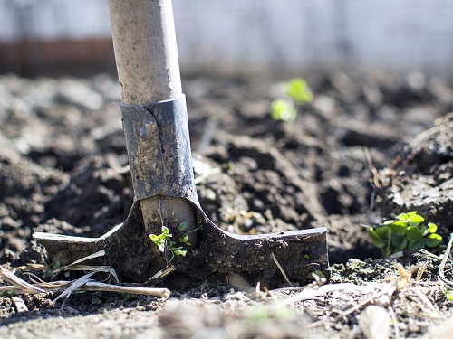 Тело пропавшего жителя Муромцево нашли закопанным в огороде его родителей