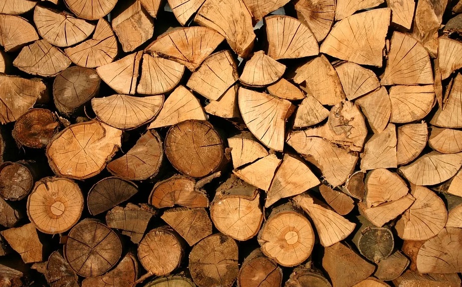 Жителей трёх северных районов Омской области обеспечат дровами