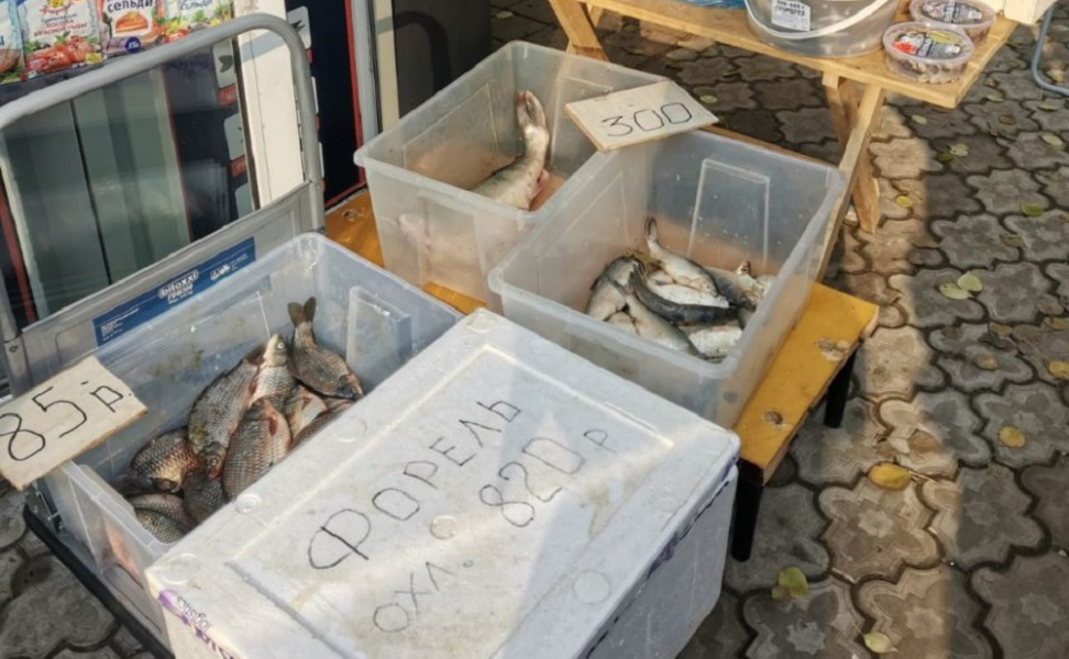 Омичам, которые продают рыбу и грибы на улице, грозит штраф 