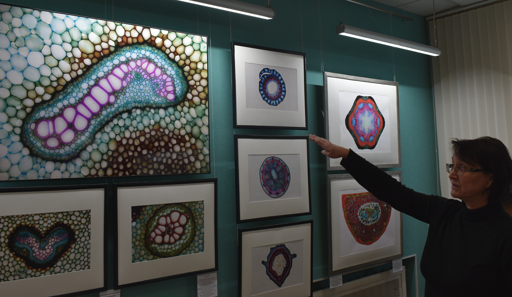 Срез корня папоротника как искусство: в Омске открылась выставка микрофотографа Анатолия Михальцова