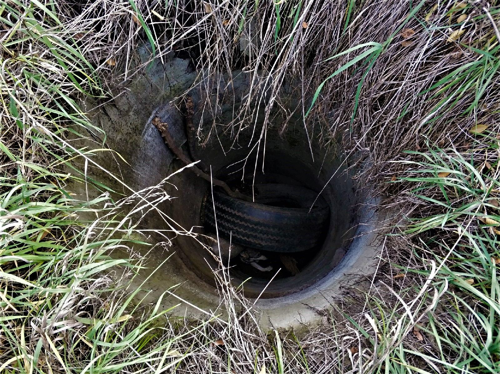 Омичи спасли собаку, провалившуюся в колодец