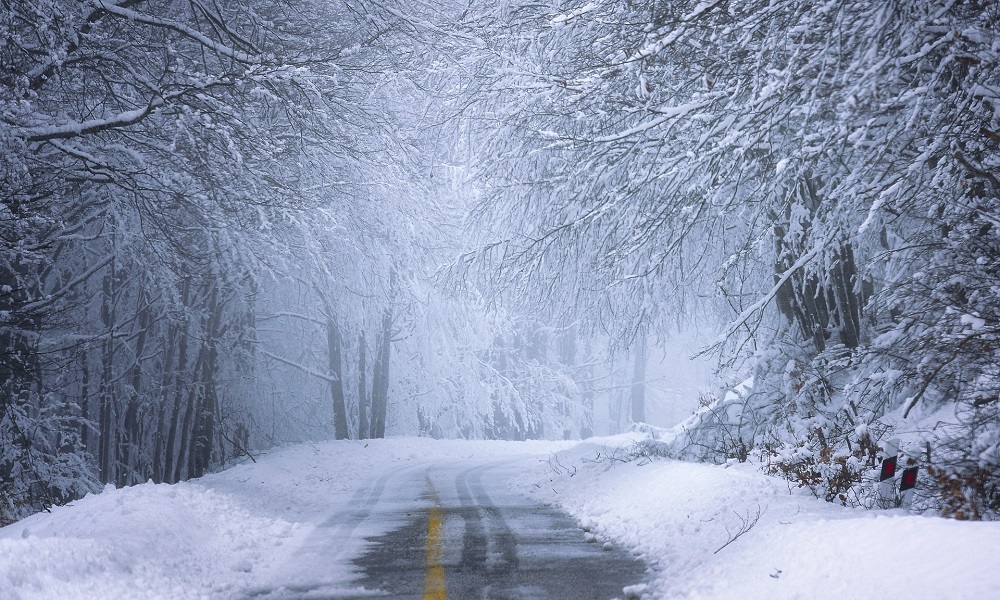 Снегопад и зимний холод: температура воздуха в Омской области опустится до -15 °C