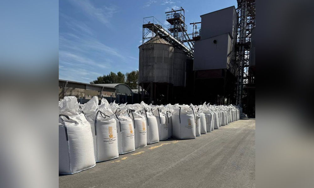 Омичам рассказали, сколько зерна принимают элеваторы региона