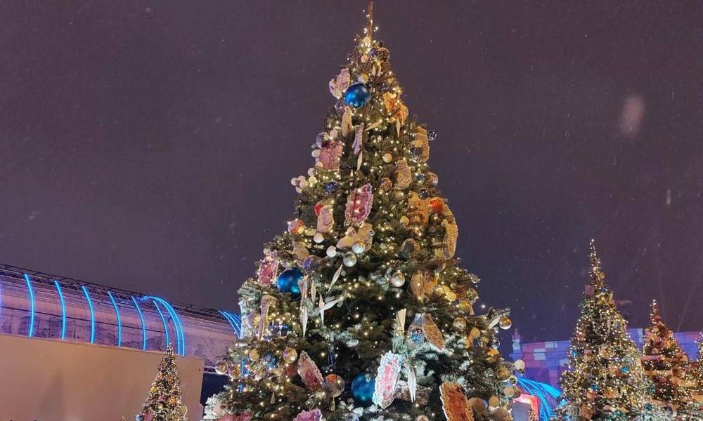 Свои огни на выставке ВДНХ зажгла новогодняя ель Омской области
