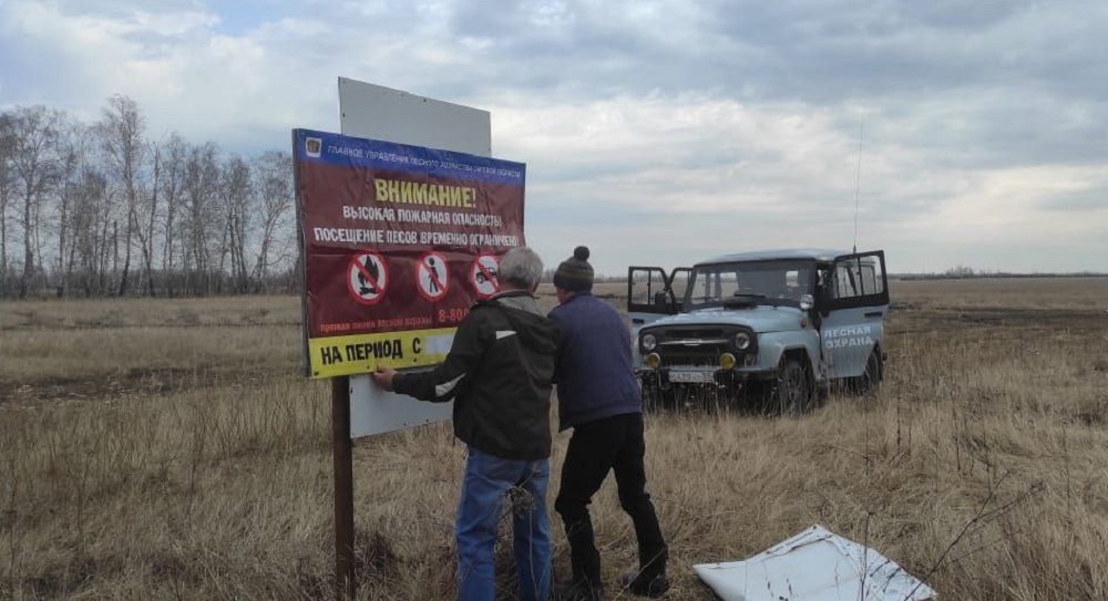 Какие леса и почему омичам запретили посещать, рассказали в Главном управлении лесного хозяйства 