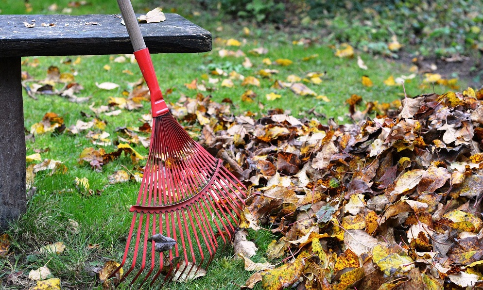 С территории омского Левобережья планируют вывезти более 8000 кубометров мусора