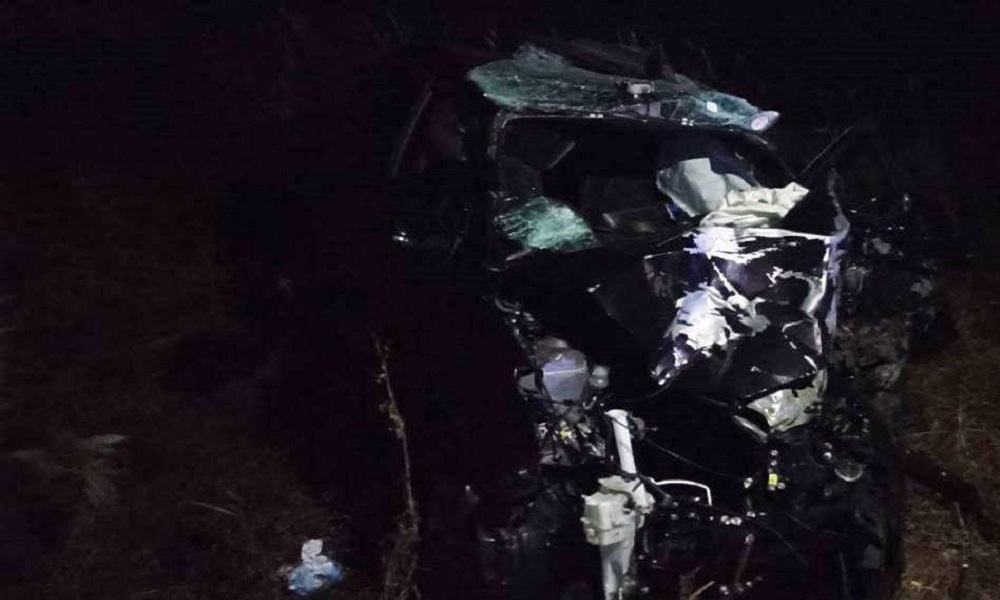 В прокуратуре сообщили подробности смертельного ДТП с лосем на трассе Омск — Муромцево