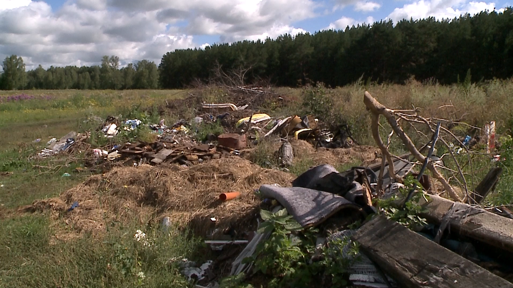 Специалистам лесного хозяйства предстоит убрать стихийные свалки в Омском районе