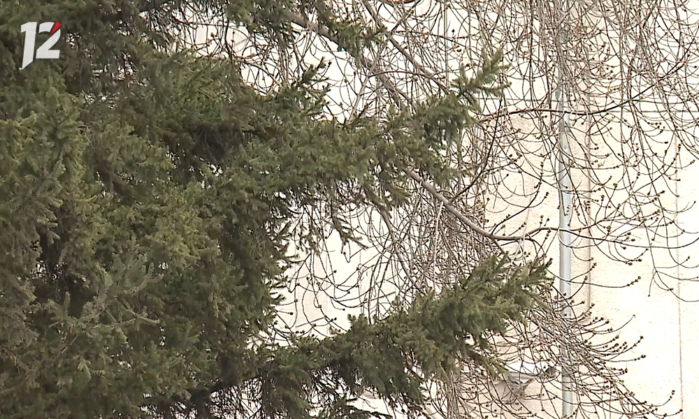 В Омске ожидаются грозы и шквалистый ветер до 25 м/с