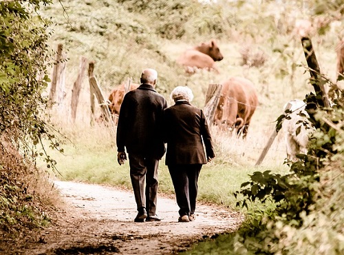 Омичи стали чаще оформлять пенсию по наследству