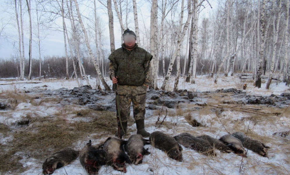 Заплатил более 1 млн рублей и лишился охотничьего билета: омское минприроды наказало браконьера