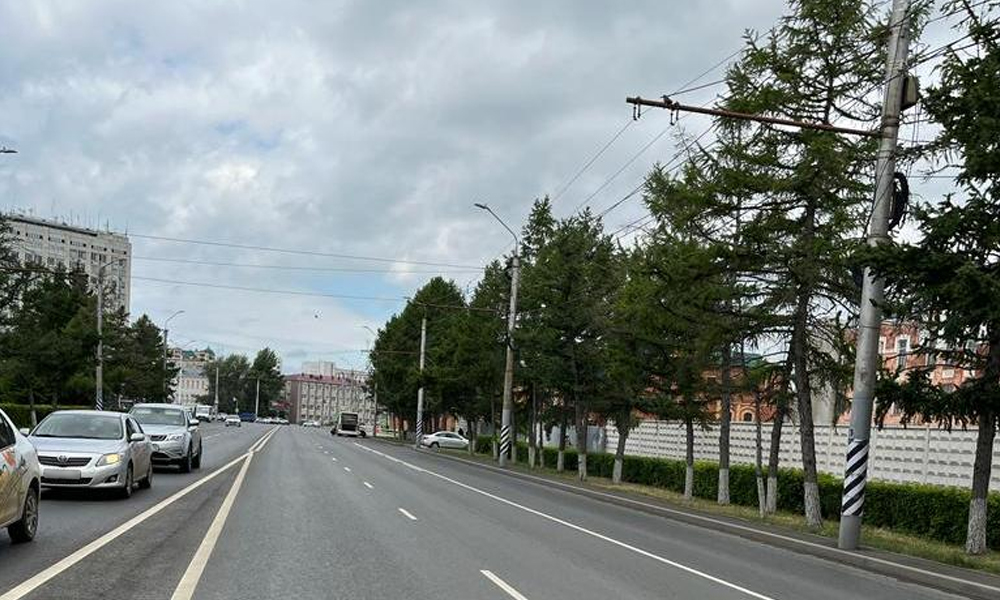 В Омске вдоль Интернациональной построят водопровод для полива газона и деревьев 