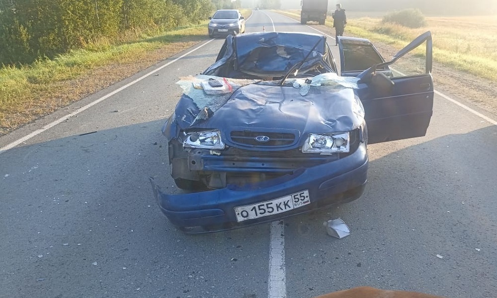 На трассе в Омской области водитель врезался в лошадь и погиб 