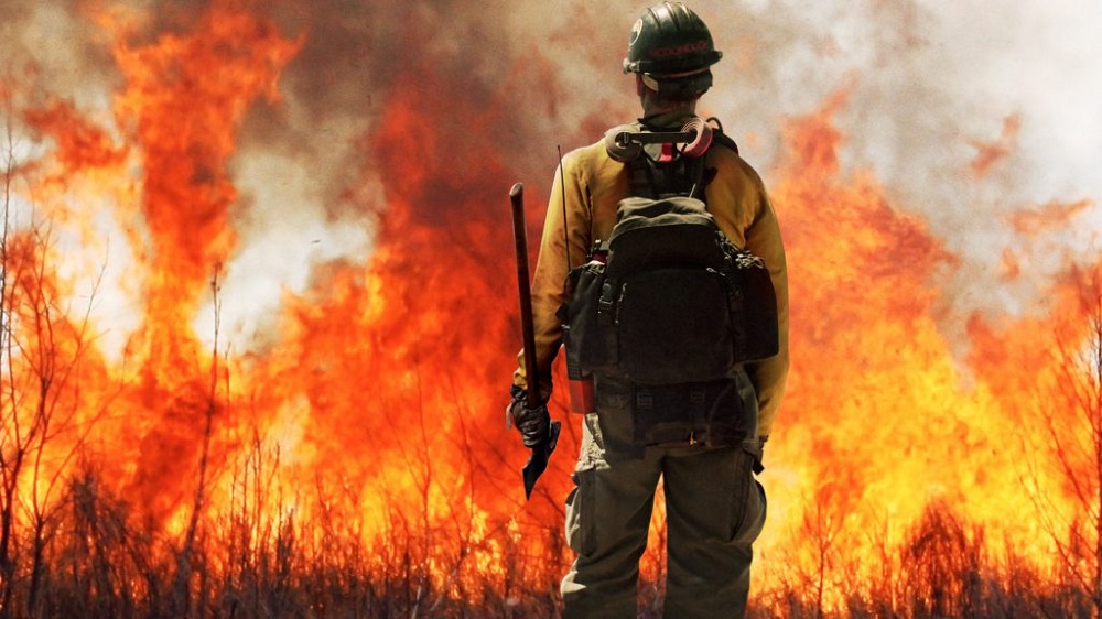 Жизнь реальных людей: популярные фильмы-биографии