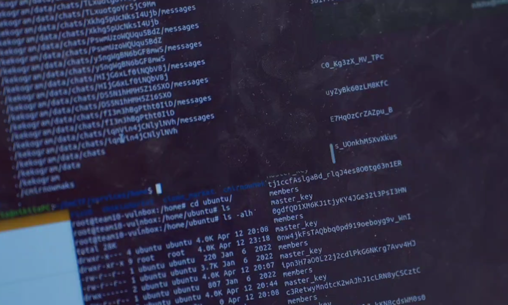 В Омской области прошла битва хакеров за звание правителя метавселенной