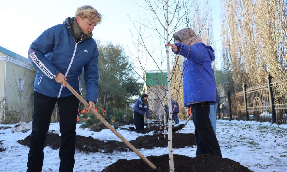 У Городского перинатального центра Омска высадили деревья ко Дню отца